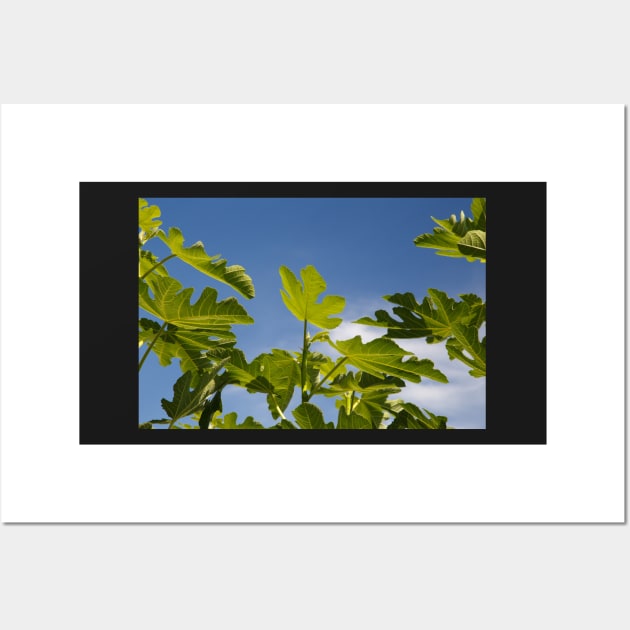 Fig Leaves Wall Art by rhintl